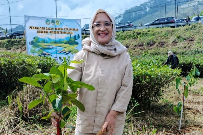 Kementerian Kehutanan dan Pemprov Jawa Barat Gelar Penanaman Bersama di Cisarua: Wujud Nyata Mitigasi Perubahan Iklim dan Bencana Hidrometeorologi Kementerian Kehutanan dan Pemprov Jawa Barat Gelar Penanaman Bersama di Cisarua: Wujud Nyata Mitigasi Perubahan Iklim dan Bencana Hidrometeorologi