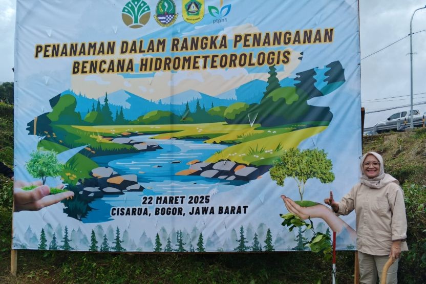 Kementerian Kehutanan Gelar Penanaman Bersama Dukung Target FOLU Net Sink 2030 dan Mitigasi Bencana Hidrometeorologis Kementerian Kehutanan Gelar Penanaman Bersama Dukung Target FOLU Net Sink 2030 dan Mitigasi Bencana Hidrometeorologis