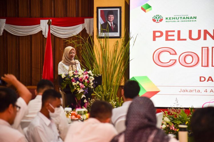 Kemenhut Luncurkan Coll-Tapak, Bersama Siapkan Sektor Kehutanan Cegah Bencana Hidrometeorologi