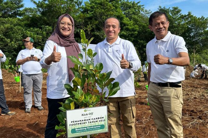 Kementerian Kehutanan Lakukan Penanaman Atas Penghitungan Jejak Karbon Kementerian Kehutanan Lakukan Penanaman Atas Penghitungan Jejak Karbon