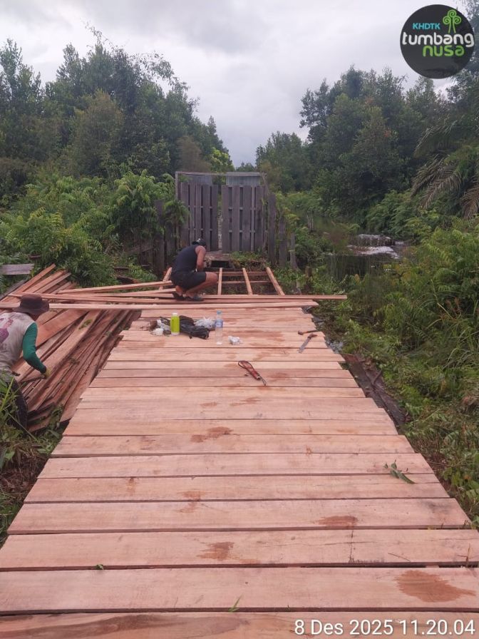 Perbaikan Jalan Perkuat Akses, Dukung Pengelolaan KHDTK Tumbang Nusa Perbaikan Jalan Perkuat Akses, Dukung Pengelolaan KHDTK Tumbang Nusa
